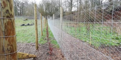 MPP Double Fence