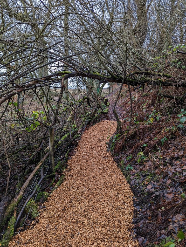 WWW Barked Path