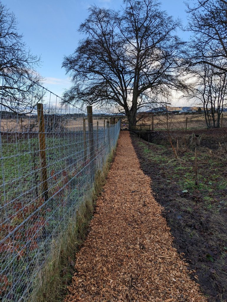 WWW Barked Path