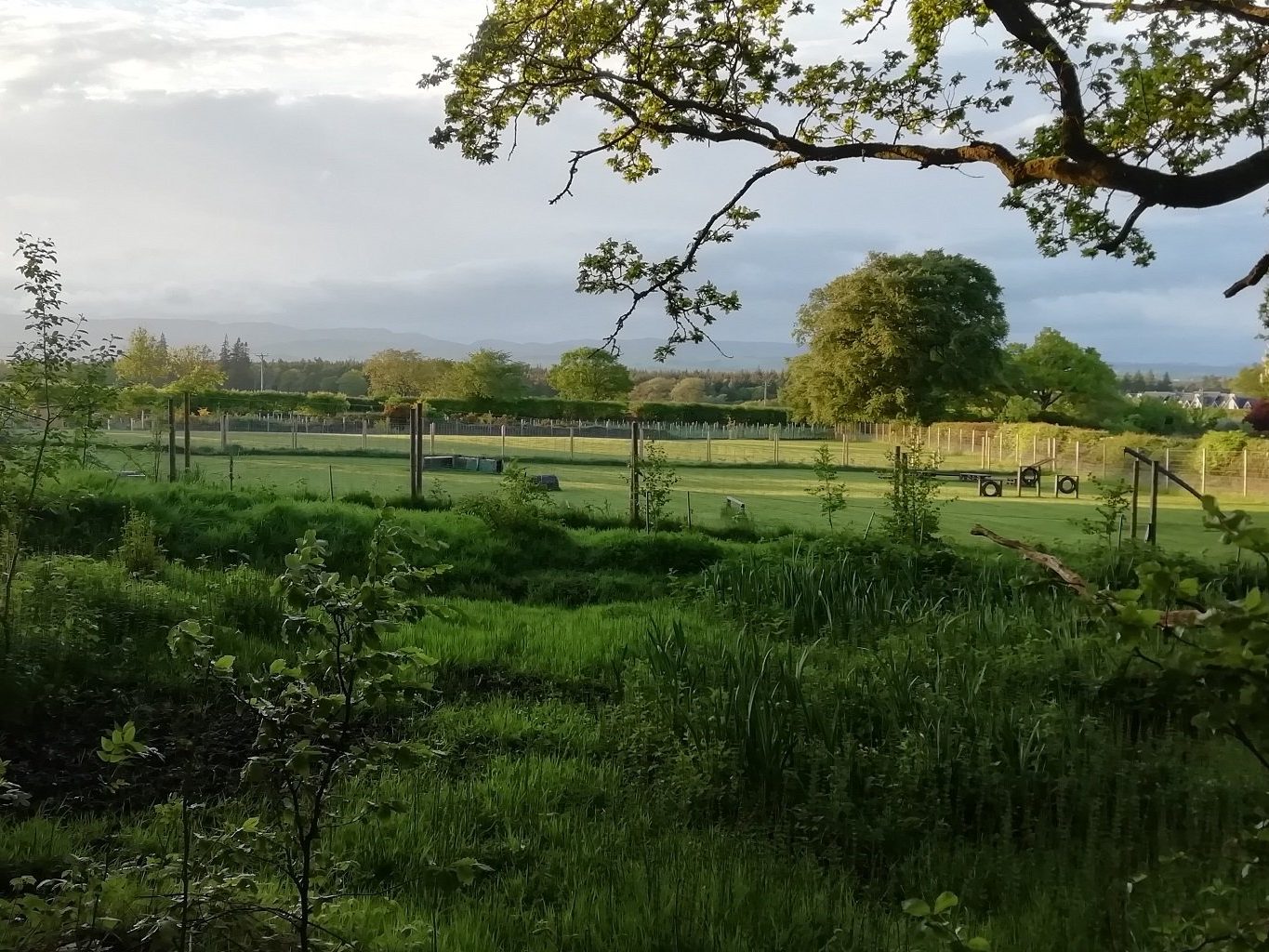 WWW Summer view over LTDR
