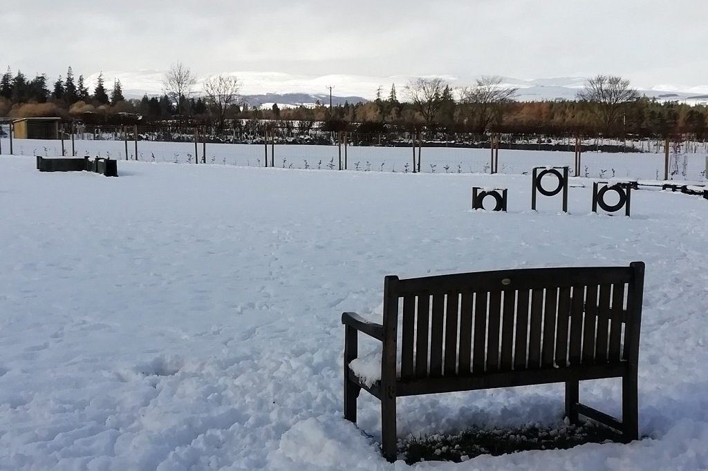 MPP Snowy view